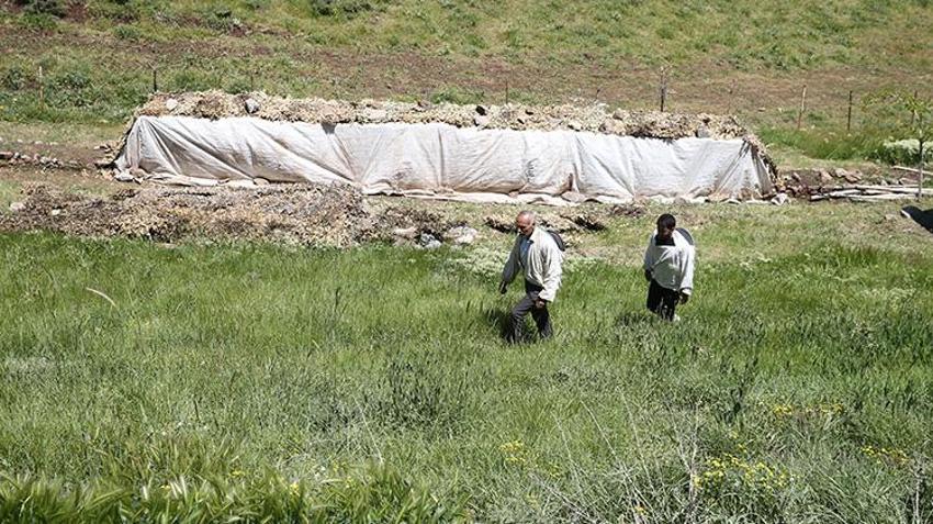 Siirt'in dağlarında çalışarak para kazanıyorlar! 'Babamın dedesinden beri bu işi yapıyoruz'