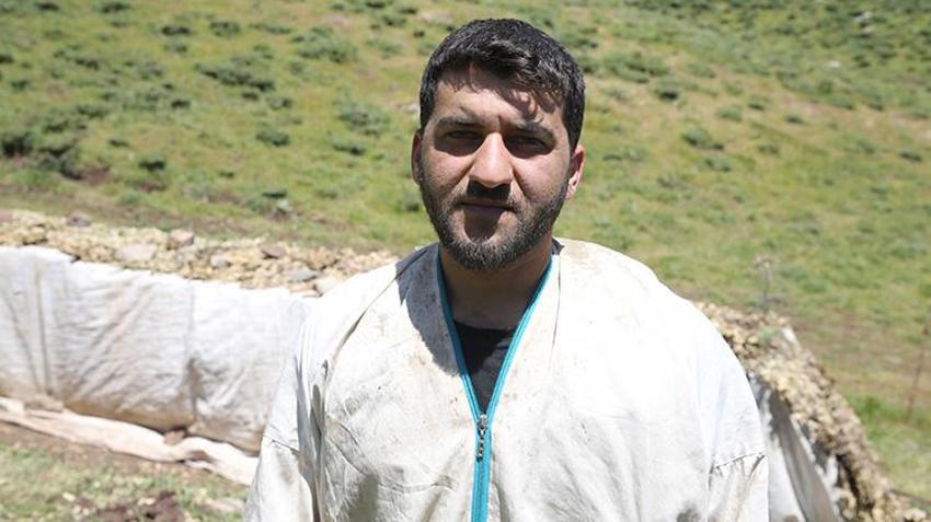 Siirt'in dağlarında çalışarak para kazanıyorlar! 'Babamın dedesinden beri bu işi yapıyoruz'