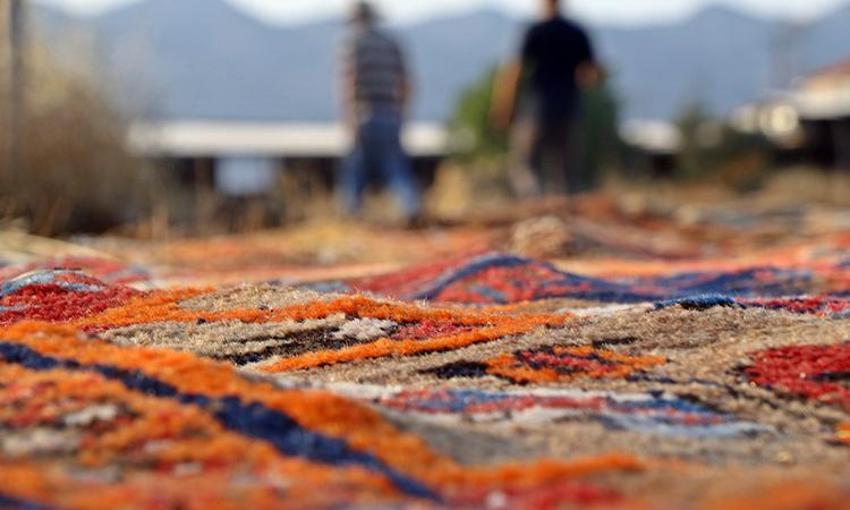 Antalya'da milyonluk nöbet! Güneş batınca başlıyor, sabaha kadar sürüyor