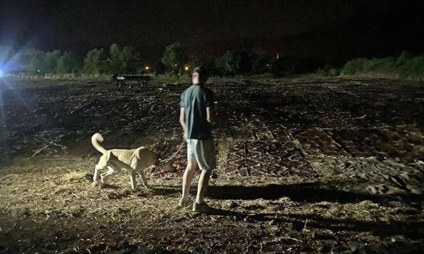 Antalya'da milyonluk nöbet! Güneş batınca başlıyor, sabaha kadar sürüyor