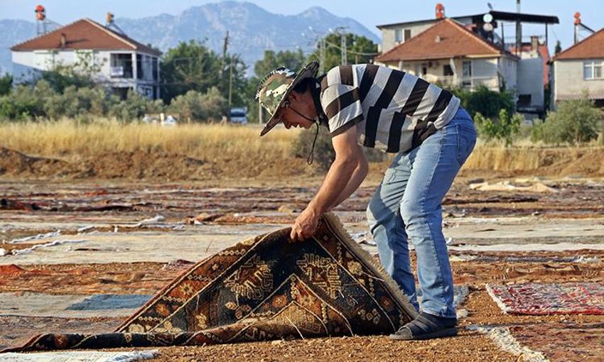 Antalya'da milyonluk nöbet! Güneş batınca başlıyor, sabaha kadar sürüyor