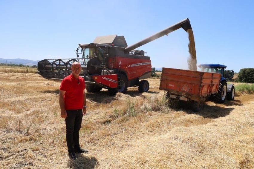 Gübre yüzde 50 arttı, hasat yüzlerce kilo düştü: Bafra Ovası'nda üreticinin çağrısı yankılandı