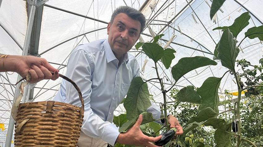 Darıca'dan dünyaya yayılacak yeni model: Bu yöntemle her şey yetişiyor! Üretim uçuşa geçti!