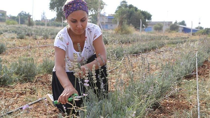 Adana'da herkesin düşündüğünü sadece o yaptı! Projesi Türkiye birincisi seçildi: '4 ton üretim yetmiyor'