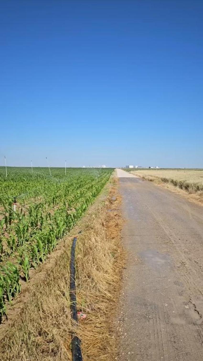 Konyalı çiftçi sınır tanımadı: Tüm ilçeyi birbirine kattı, yollar bile yeşerdi