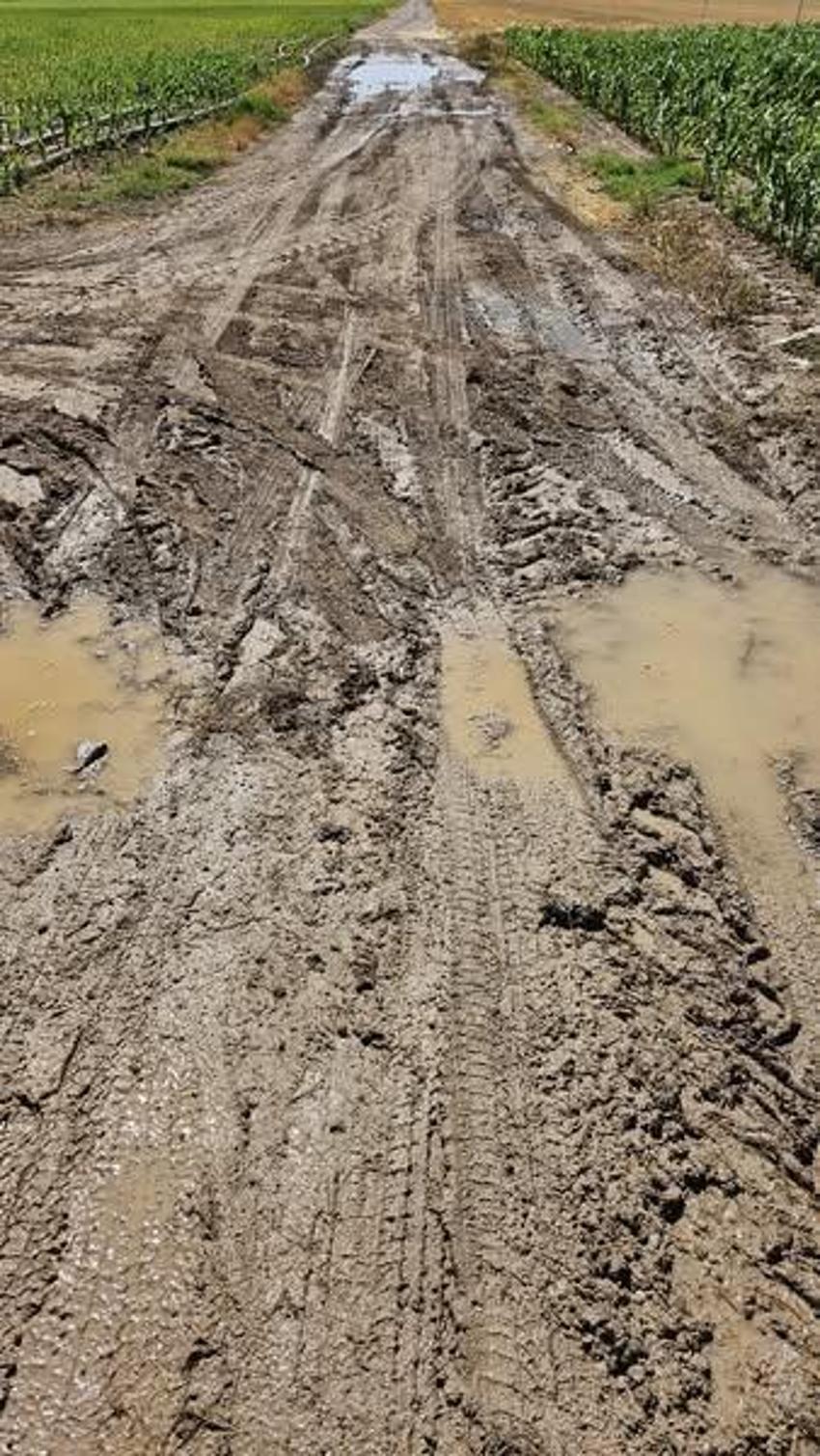 Konyalı çiftçi sınır tanımadı: Tüm ilçeyi birbirine kattı, yollar bile yeşerdi