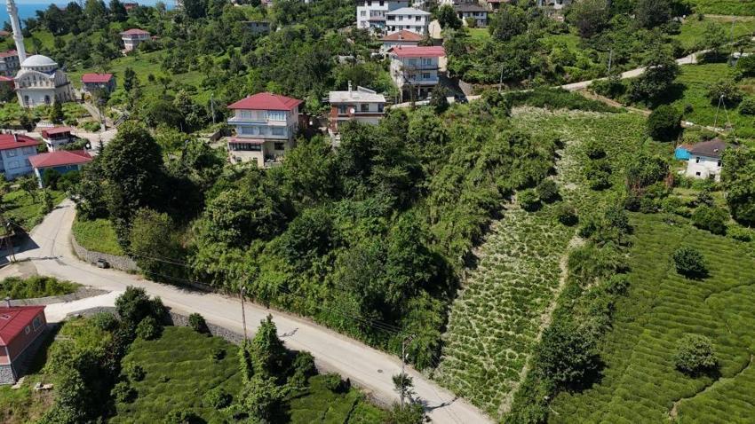 Rusya'dan getirip mahalle arasına diktiler! Rize'de evleri binaları sardı: Köylü isyan etti