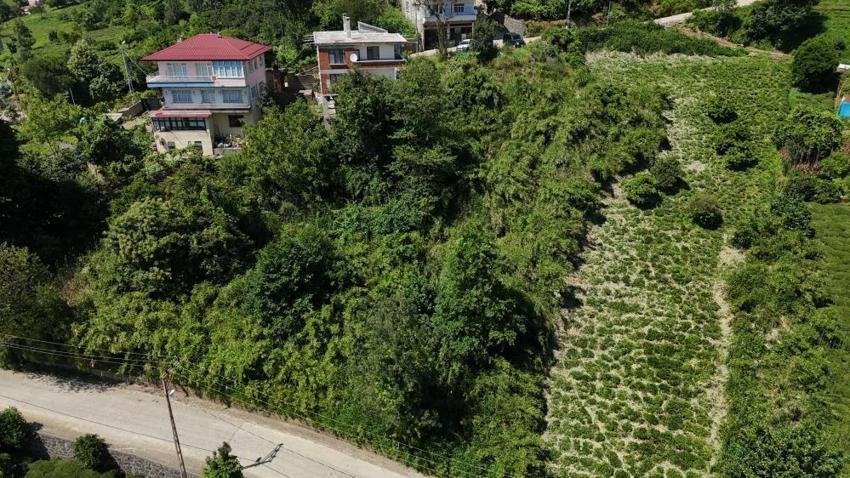 Rusya'dan getirip mahalle arasına diktiler! Rize'de evleri binaları sardı: Köylü isyan etti