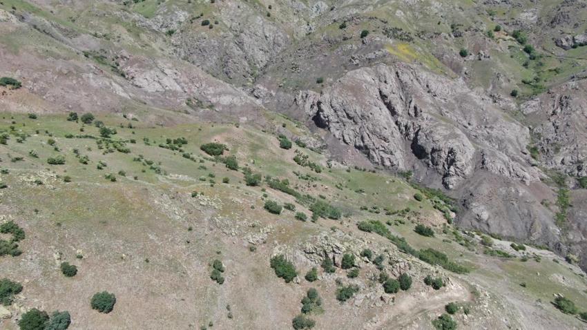Cesedi eşekle taşıdı: 6 ay önce tanıştı, köye gelişi sonu oldu! Katil detayları itiraf etti