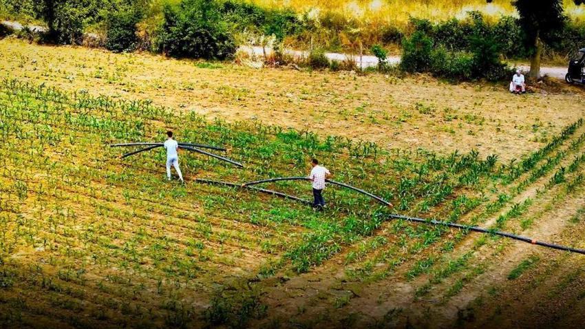 22 bin dekar arazide verimi artıran buluş: Çiftçiler devrimi kutluyor! Kocaeli'de her şey yeniden başladı