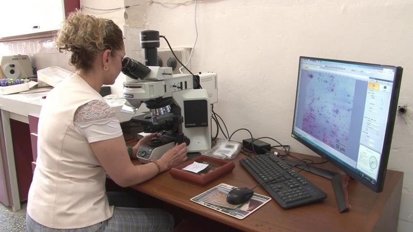 Arı sütüyle hamile kaldı! Türk bilim insanları yeni özelliğini keşfetti: ABD'de yayınlandı