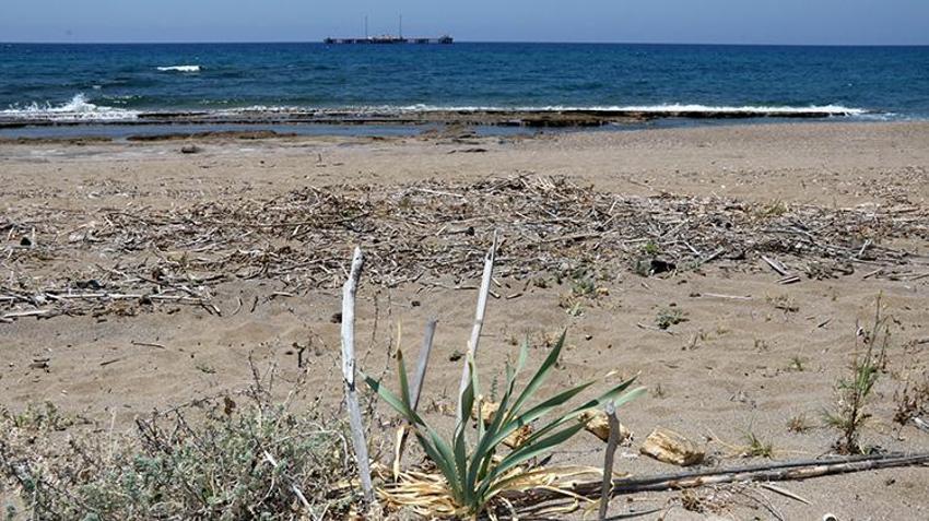 Antalya sahillerinde büyülü güzellik! Kum zambakları ortaya çıktı, koparana ağır ceza var!
