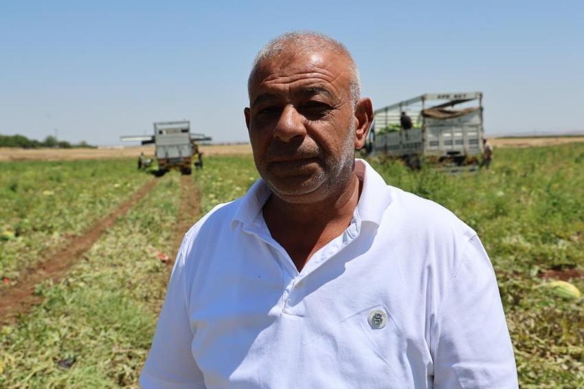 Diyarbakır karpuzunu sıcak vurdu: Tarlada 1 TL, pazarda 80 TL!