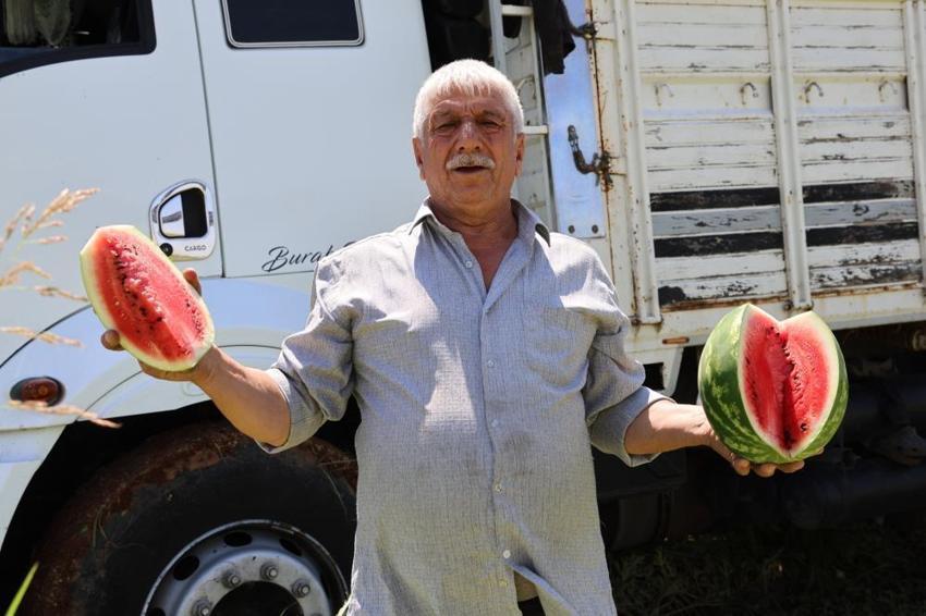 Diyarbakır karpuzunu sıcak vurdu: Tarlada 1 TL, pazarda 80 TL!