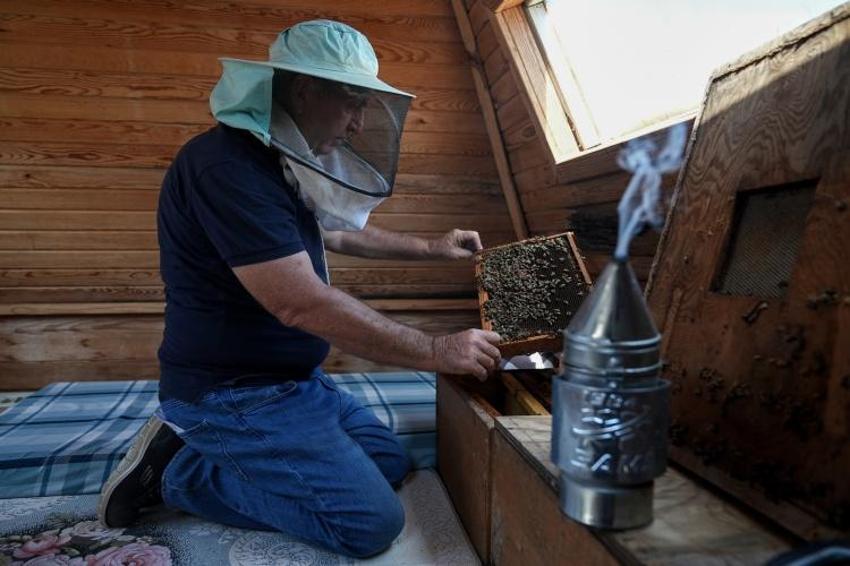 Bir doz arı havası 4 günde şifa oluyor: Konyalı ziraatçi arı çiftliği açtı, duyan oraya akın ediyor