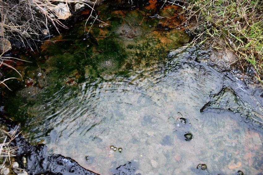 Kastamonu’nun köyünde keşfedildi! Tek yudumu her derde deva, binlerce kişi şifa için akın ediyor