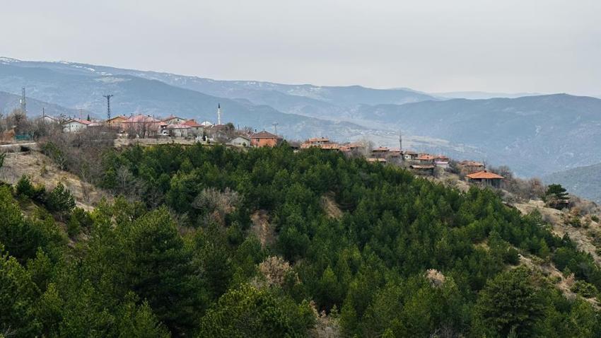 Kastamonu’nun köyünde keşfedildi! Tek yudumu her derde deva, binlerce kişi şifa için akın ediyor