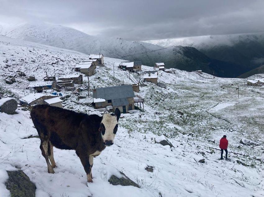 Kar yağışları 5 şehirde yaşayanlara sürpriz yaşattı! Rize, Trabzon, Bayburt, Gümüşhane ve Erzurum beyaza büründü