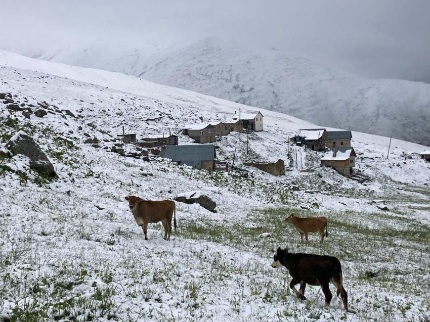 Ne olduğuna turistlerde şaşırdı: Rize'de kar bir anda bastırdı