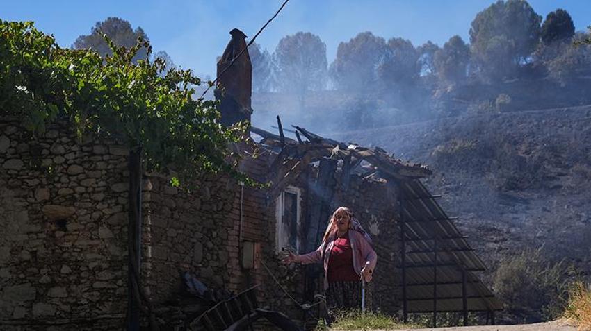 İzmir'de hiçbir işe yaramadı! Artık hayalet köy oldu: Hepsi öldü, 40 yıllık emek gitti