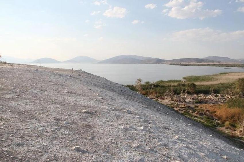 Konyalıların diline düştü: 10 dekar alanı var üstüne ot bitmiyor! Bilim insanları nedenini buldu