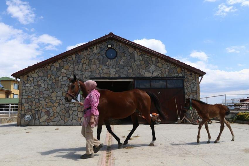 Kocaeli'de milyonluk servet yatıyor! Türkiye'nin en değerlileri burada yetişiyor