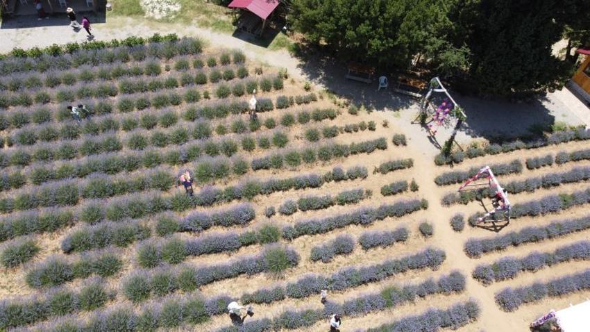 Adana'da 9 mahallenin kadınları birleşti: Araziyi kafeye çevirdiler! 30 TL'den satışı var