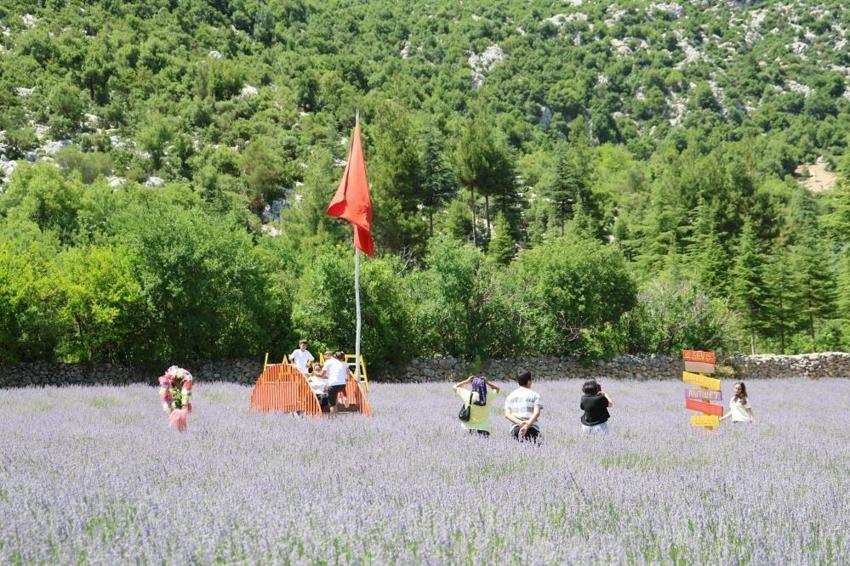 Adana'da 9 mahallenin kadınları birleşti: Araziyi kafeye çevirdiler! 30 TL'den satışı var