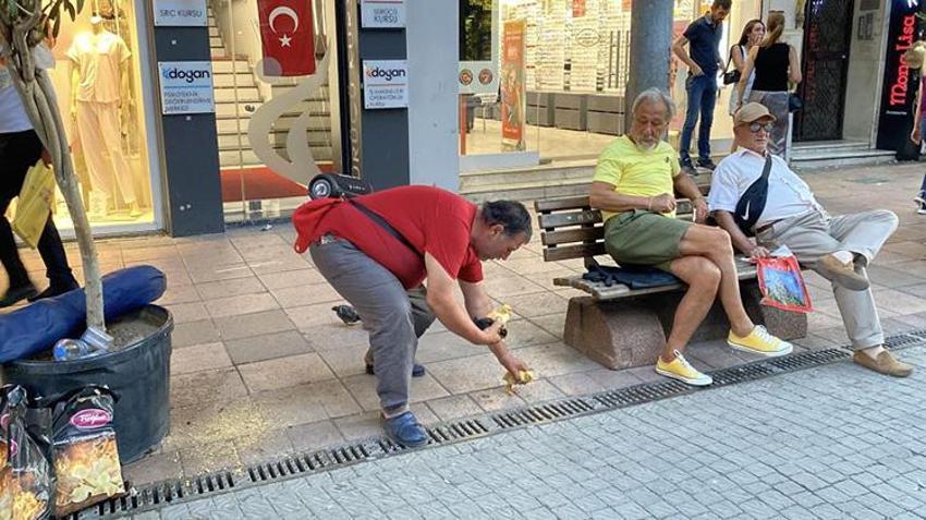 Eskişehir sokaklarında yürek burkan hayat hikayesi! Ali Amca Aydın'dan civcivleriyle geldi: 'Bunlar satılık değil, okşamalık!'