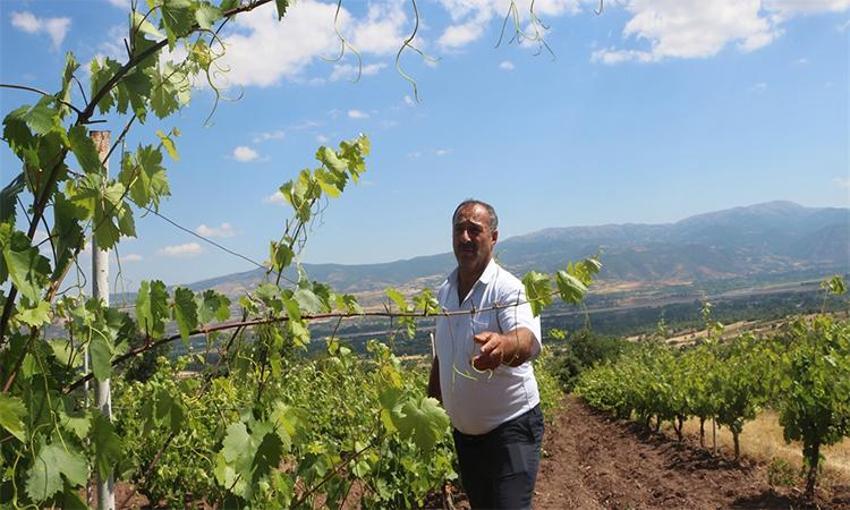 Tokat'ta nöbet tutmaya başladılar: Tam 1 tonu çalındı