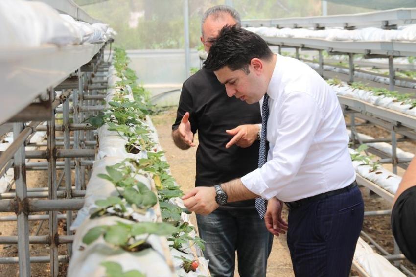 Yöntem Japonya'dan üretim Eskişehir'den: Sayı bir anda 30 bin adete çıktı!