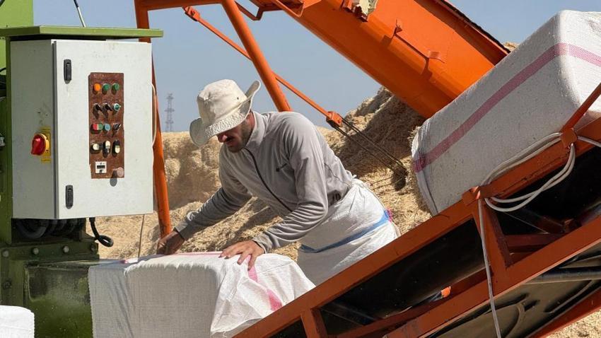 Diyarbakır Ovası'nda kavurucu mesai: 45 derece sıcakta hasat devam ediyor