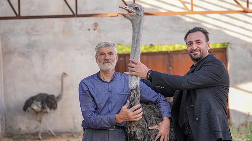 Diyarbakır'da yalnızlıktan anksiyete bozukluğu başlayan 'firari' deve kuşu muradına erdi!