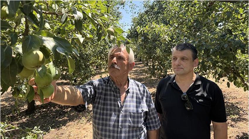 Emekli olduktan sonra kazancı daha çok arttı! Bursa'da gördüğünü Zonguldak'a uyguladı