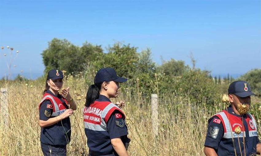 Aydın'ın 'gizemli' hazinesi! Dünyada sadece o bölgede var: 557 bin TL'si olmayan dokunamıyor