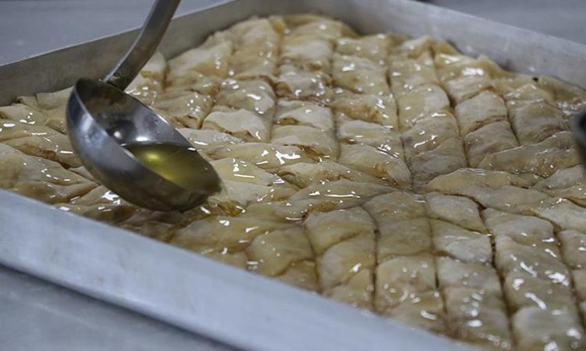 Kestane bahçelerinde kurdukları hayal gerçek oldu! Binlerce lira kazandılar