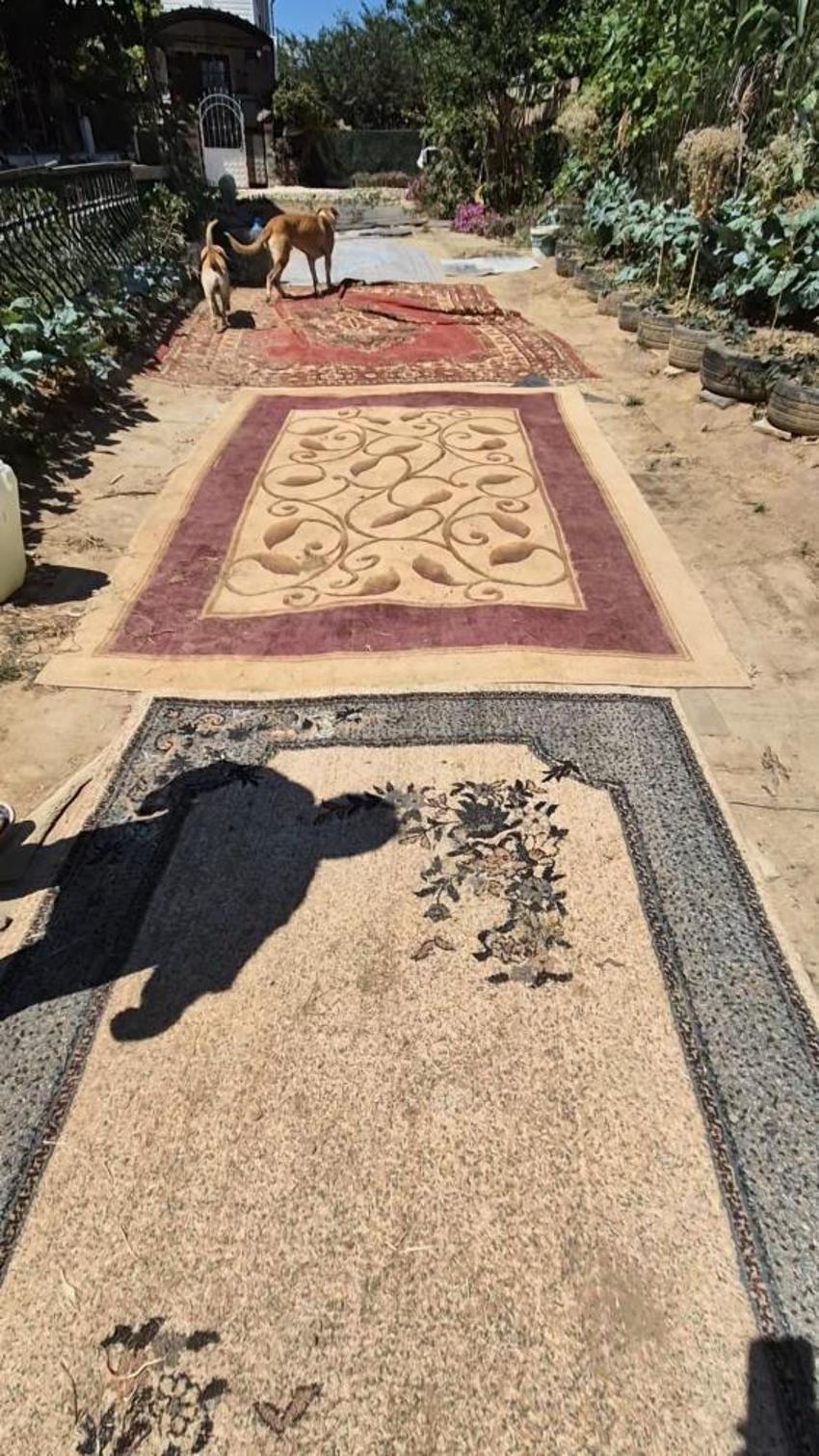 Yıllardır çözüm beklediler, çareyi halıda buldular! Tekirdağ'da vatandaş isyan etti: Yetkililer duysun diye yaptık'