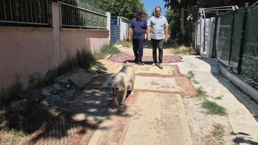 Yıllardır çözüm beklediler, çareyi halıda buldular! Tekirdağ'da vatandaş isyan etti: Yetkililer duysun diye yaptık'
