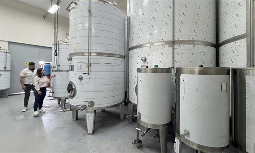 Mühendisliği bırakan kadın girişimci eşinin memleketine fabrika kurdu! 200 ton üretiyor, 81 ile satış yapıyor