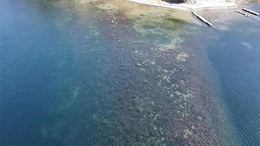 20 yıldır bulunamamıştı! Çanakkale'deki antik liman kentinde ortaya çıktı