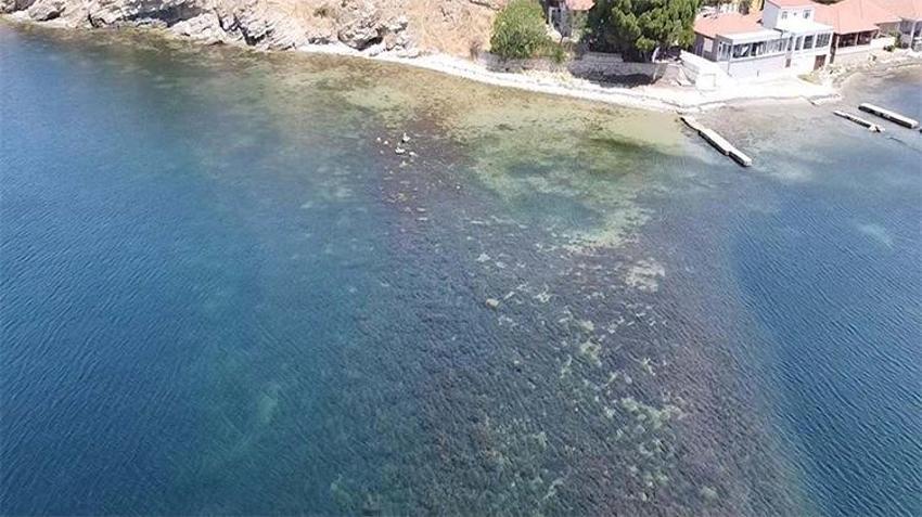 20 yıldır bulunamamıştı! Çanakkale'deki antik liman kentinde ortaya çıktı