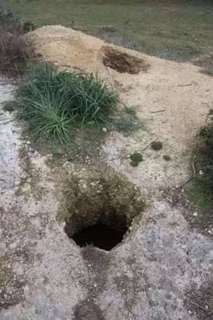 Köylüler cesaret edip bakamadı: Adana'da polis kazı yerindeki oyuğun içinde gördü! 26 adet ortaya saçıldı