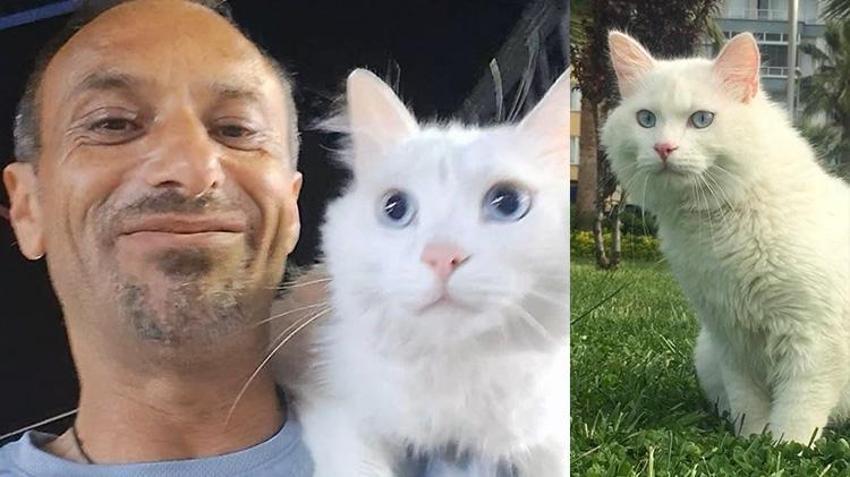 Kocaeli'nde sokak sokak onu arıyor! Bulana para ödülü verecek; Gözyaşlarını tutamadı