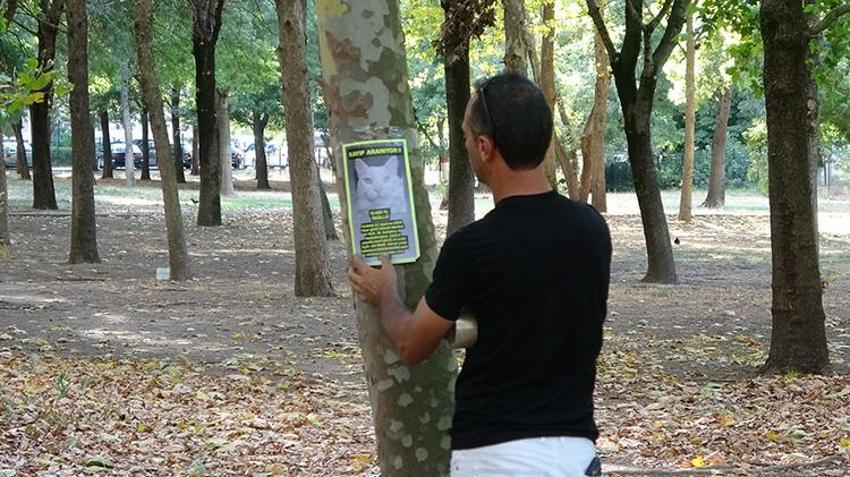 Kocaeli'nde sokak sokak onu arıyor! Bulana para ödülü verecek; Gözyaşlarını tutamadı