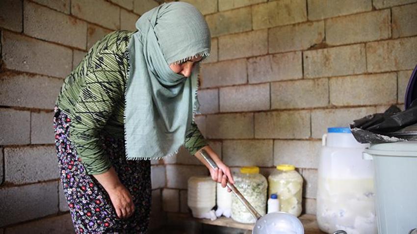 Van'da ailelerin geçim kaynağı oldu! Kadınların elinden toprağın altına giriyor oradan da paraya dönüşüyor