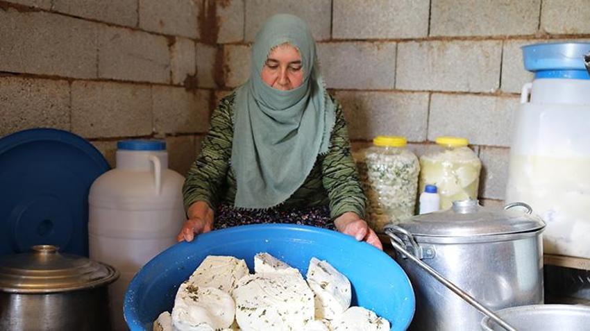 Van'da ailelerin geçim kaynağı oldu! Kadınların elinden toprağın altına giriyor oradan da paraya dönüşüyor