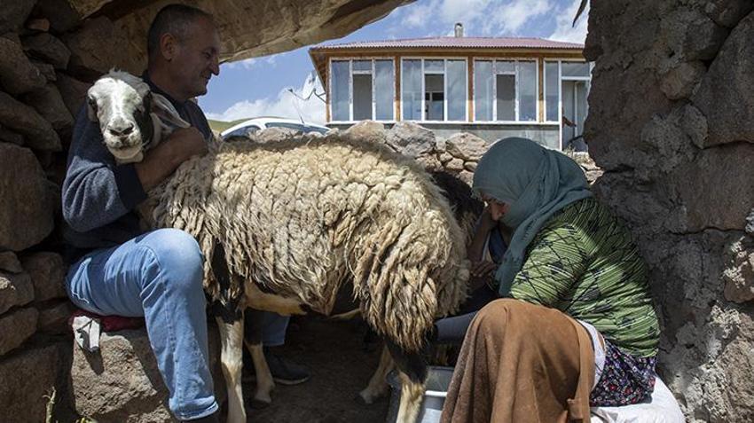 Van'da ailelerin geçim kaynağı oldu! Kadınların elinden toprağın altına giriyor oradan da paraya dönüşüyor