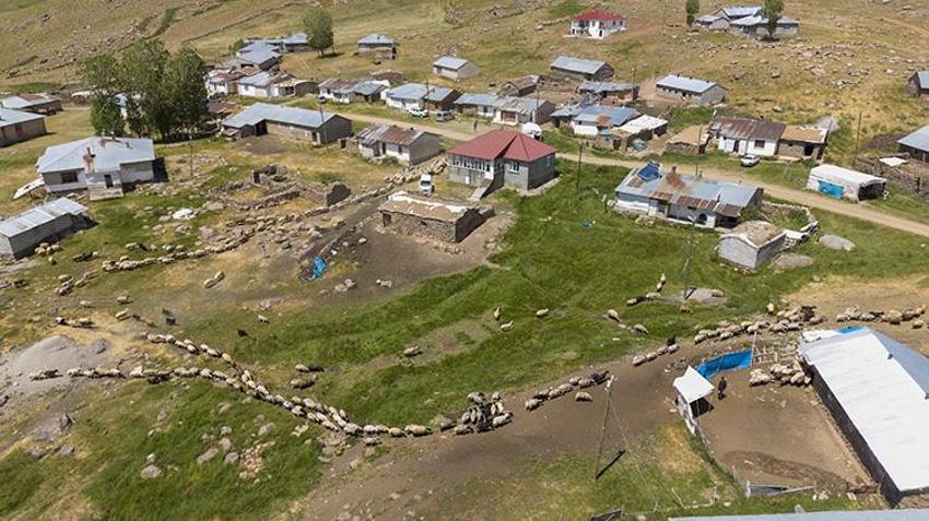 Van'da ailelerin geçim kaynağı oldu! Kadınların elinden toprağın altına giriyor oradan da paraya dönüşüyor