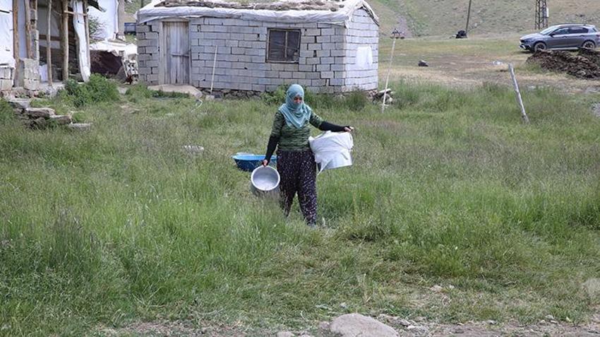 Van'da ailelerin geçim kaynağı oldu! Kadınların elinden toprağın altına giriyor oradan da paraya dönüşüyor