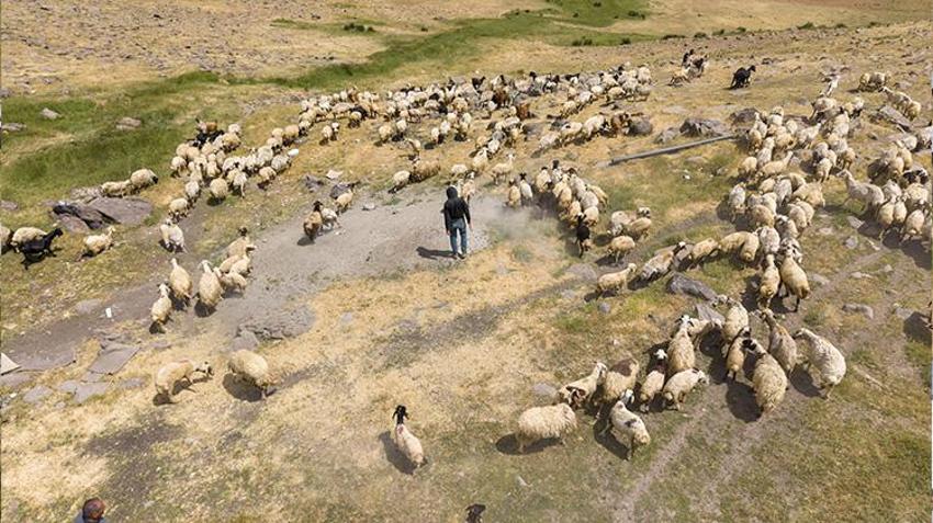 Van'da ailelerin geçim kaynağı oldu! Kadınların elinden toprağın altına giriyor oradan da paraya dönüşüyor
